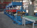 Refrigerator (Freezer) Door shell Forming Line