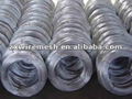 Galvanized Iron Wire