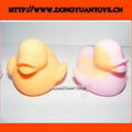 Rubber Change Color Duck