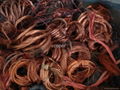 copper scrap 1