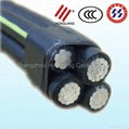0.6/1kv Al Conductor XLPE Insulated Aerial Bundled Cable 2