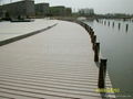 WPC Decking/flooring 4