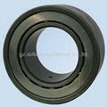 Deep Groove Ball Bearing  Bearing 1