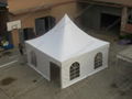 tensile pagoda tent 6x6m at economical
