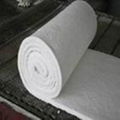 fast delivery and high quality aluminium silicate blanket 3