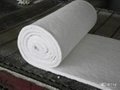 fast delivery and high quality aluminium silicate blanket 5