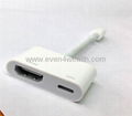 Dock to HDMI for iPad Mini & iPhone 5