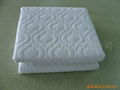 Pinsonic mattress protector 1