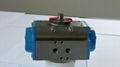 Pneumatic actuator 2