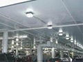 Ceiling Light 0501 2