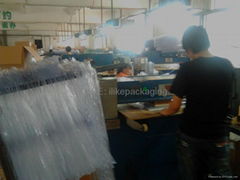 Shenzhen JinLiChang Blister Tray Manufactory