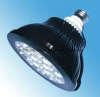 LED PAR38 Light  3