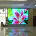 Soft or Flexible LED Display (STC-P375)