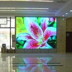 Soft or Flexible LED Display (STC-P375) 