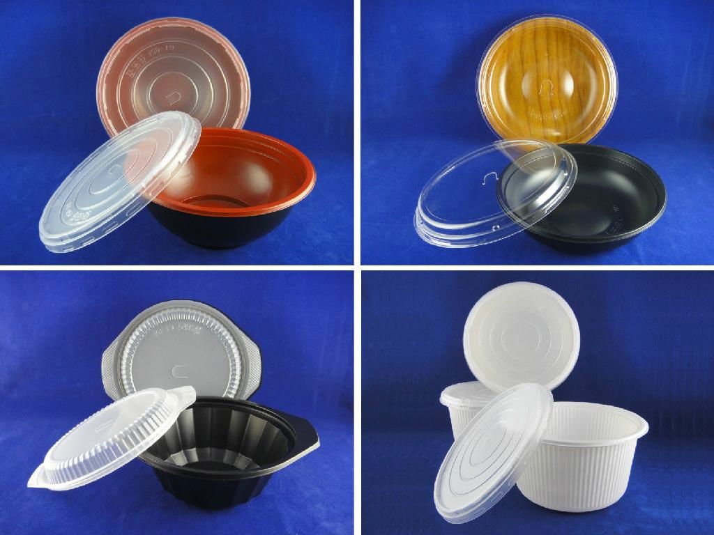 Disposable Plastic Food Packaging (China) - Plastic Packaging Materials