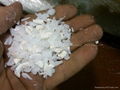 Pet resin for bottle grade  5