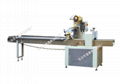 Automactic Packaging Machine 1