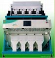 S.Precision CCD Color Sorter for Rice,Yellow rice,Sticky rice,perboiled rice 3