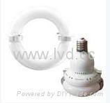 LVD induction lampsource-saturn