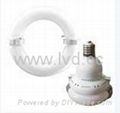 LVD induction lampsource-saturn