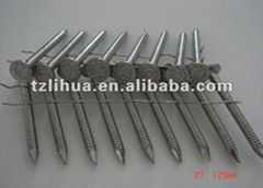 Stainless Steel Coil Nail