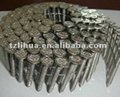 Stainless Steel Coil Nail 3