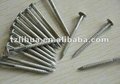 Stainless Steel Concrete Nail 2