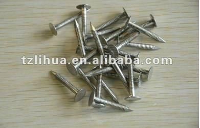 Stainless Steel Concrete Nail 4