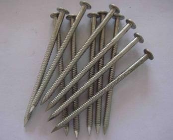 Stainless Steel Concrete Nail 5