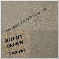 GS AUTUMN BROWN SANDSTONE TILE