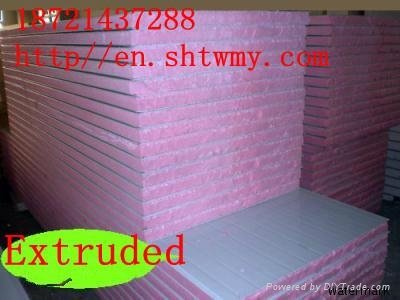 Extruded sandwich panels