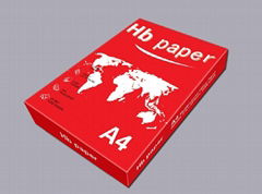 A4 copy paper 80gr