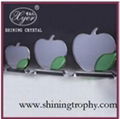 HDA2002 New Design Crystal Apple Award