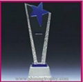 crystal Star awards HDSA1002  1