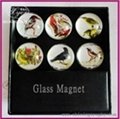 Wholesale Crystal Glass Fridge Magnet  1