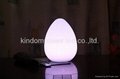 LED standing Oval egg 2