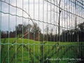 Euro Welded Fence 2