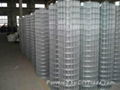 Welded Wire Mesh 1