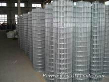 Welded Wire Mesh