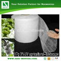 Fruit Covering non woven