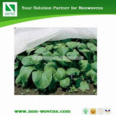 Non Woven edge cover for agriculture