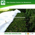 anti-UV garden non woven cloth 2