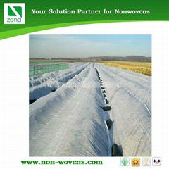 Extra width (6.5m, 10.5m... 36m) PP non woven fabric