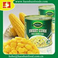 canned sweet corn 1