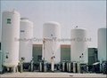 Cryogenic LNG storage tank