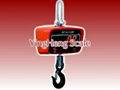 export Micro-electronic crane scale from YingHeng  Weighing Scale 1