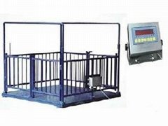 sell Livestock scales,floor scale,weighbridge,platform scale from YingHeng Scale