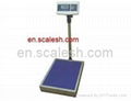 export Logistics industry-specific electronic bench scale,platform scale 5