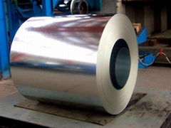 Galvanized Steel Coils