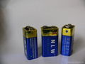6LR61 9V alkaline battery 3